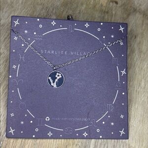 Sagittarius ♐️ Zodiac Coin Style Silver Necklace NWT